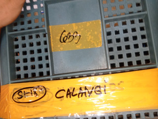 17645613294706909431706014964503